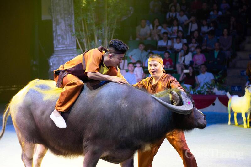 Những giây phút ngộ nghĩnh, đáng yêu với xiếc lợn, xiếc dê, xiếc chó, xiếc trâu...