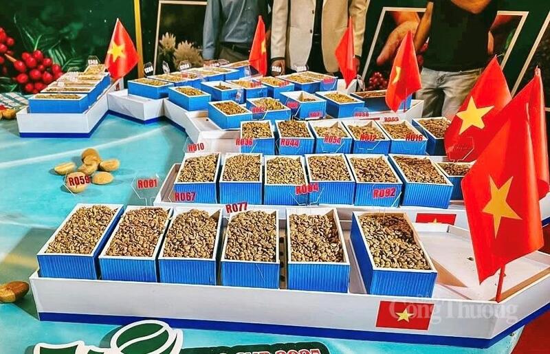 Cà phê Robusta chất lượng cao (Fine Robusta) của Gia Lai đang dần ghi dấu ấn nhờ hương vị riêng biệt và chất lượng ổn định.