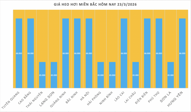 Giá heo hơi hôm nay 23/3/2026: Biến động trái chiều - 1