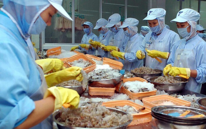 2 tháng năm 2026, Trung Quốc là thị trường xuất khẩu thủy sản lớn nhất của Việt Nam. Ảnh minh hoạ