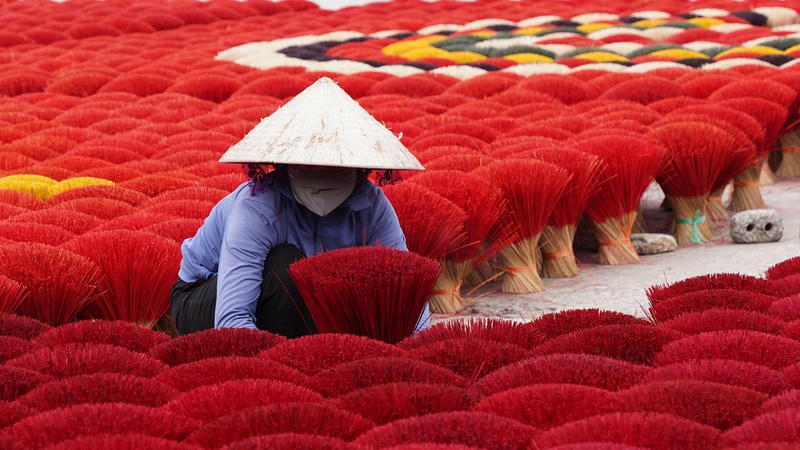Công đoạn phơi hương truyền thống tạo nên khung cảnh đặc trưng tại làng hương Quảng Phú Cầu. Ảnh: Dương Thảo