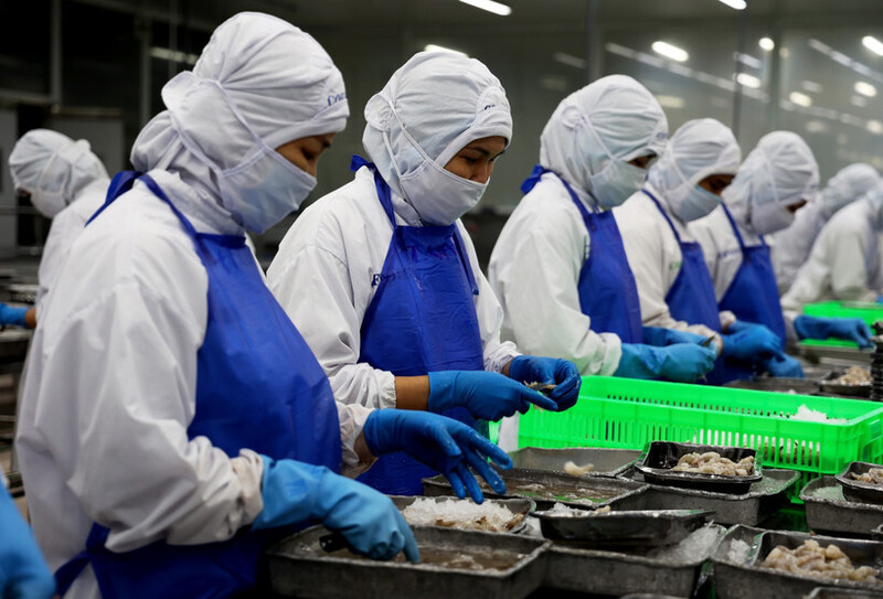 Chế biến tôm xuất khẩu. Ảnh: Hồng Đạt/TTXVN
