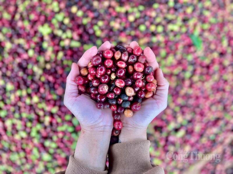 Ảnh minh hoạ: Hiền Mai