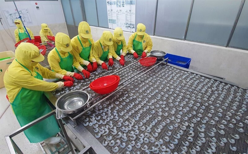 Cà Mau đang thực hiện nhiều giải pháp trong điều hành kinh tế vĩ mô, đồng thời đẩy mạnh cải thiện môi trường đầu tư, nâng cao năng lực cạnh tranh cho doanh nghiệp. Ảnh: CTTĐT Cà Mau