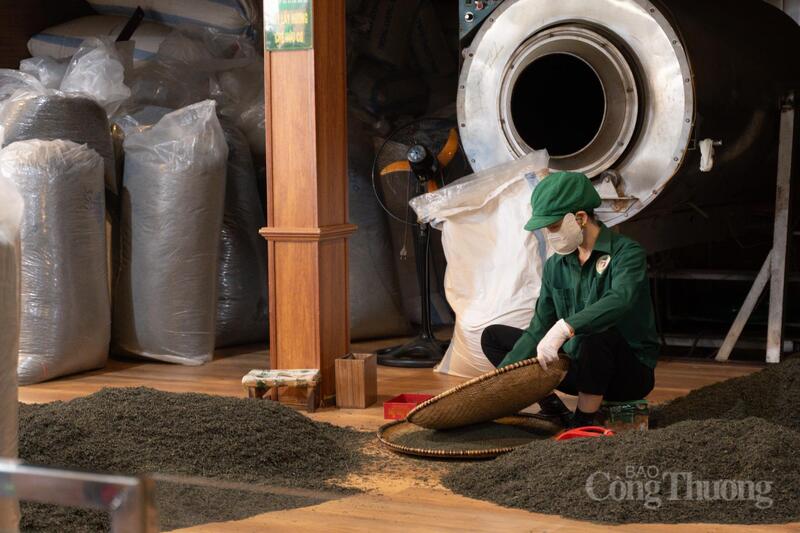 Đặc trưng của nghề chè Tân Cương nằm ở sự kết hợp giữa con người và máy móc.