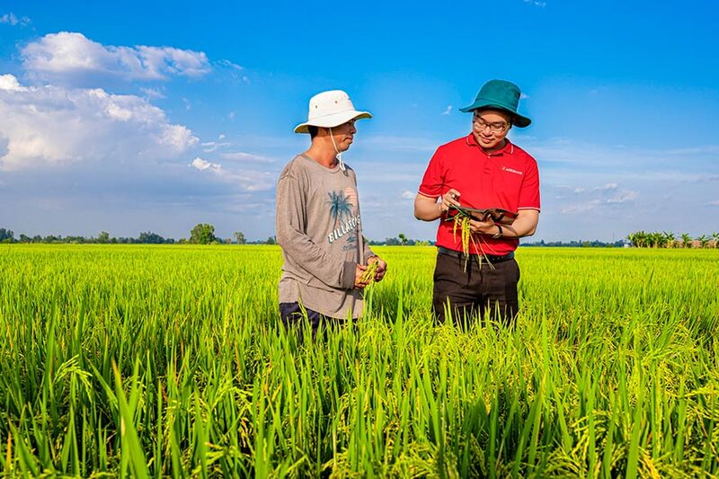 Agribank là ngân hàng chủ lực cung ứng vốn cho Đề án “Phát triển 1 triệu héc-ta lúa chuyên canh chất lượng cao phát thải thấp.