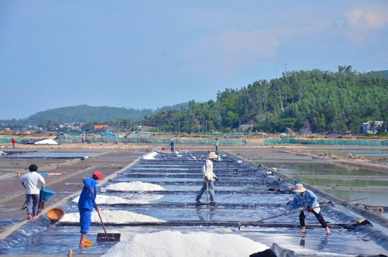 Những ngày này, diêm dân Sa Huỳnh lại tất bật chuẩn bị cho vụ muối mới. Ảnh: Nguyễn Dương