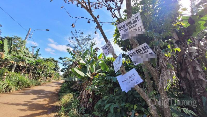 Đắk Lắk sẽ siết chặt trong việc cấp chứng chỉ hành nghề bất động sản. Ảnh: Vũ Long