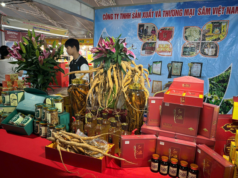 Gian hàng trưng bày sản phẩm sâm Nam núi Dành tại Hội chợ Thương mại và Di lịch Bắc Ninh 2026. Ảnh: Phong Lâm