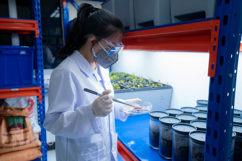 Thử nghiệm phân hủy sinh học