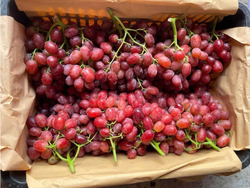 Việt Nam chi hàng trăm triệu USD để nhập trái cây Trung Quốc năm 2025, trong đó nho là mặt hàng nhập khẩu lớn nhất với kim ngạch 220 triệu USD. Ảnh minh hoạ