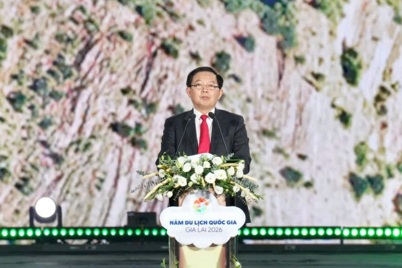 Đồng chí Hồ Quốc Dũng, Ủy viên Ban Chấp hành Trung ương Đảng, Phó Thủ tướng Chính phủ phát biểu chỉ đạo.