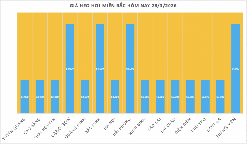 Giá heo hơi hôm nay 28/3/2026: Tiếp tục giảm nhiều nơi - 1
