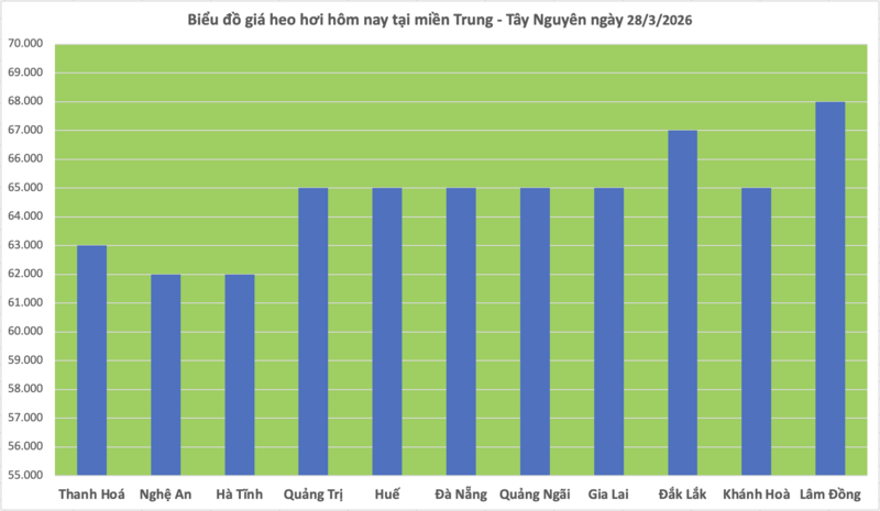 Giá heo hơi hôm nay 28/3/2026: Tiếp tục giảm nhiều nơi - 2