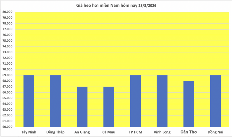 Giá heo hơi hôm nay 28/3/2026: Tiếp tục giảm nhiều nơi - 3
