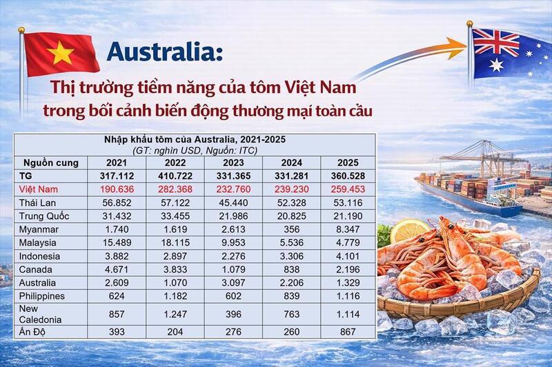 Xuất khẩu tôm sang Australia duy trì xu hướng tăng trong 5 năm. Nguồn: VASEP.