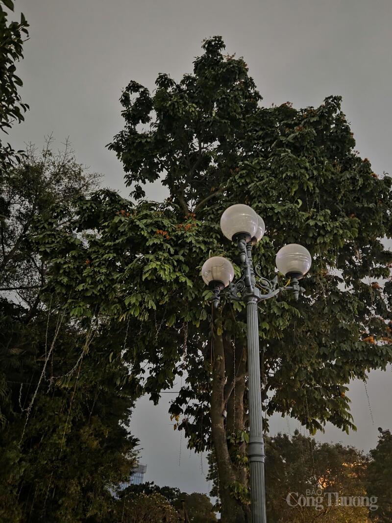 Tại nhiều tuyến phố, các bóng đèn chiếu sáng đã được tắt bớt.