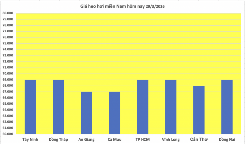 Giá heo hơi hôm nay 29/3/2026: Đi ngang - 3