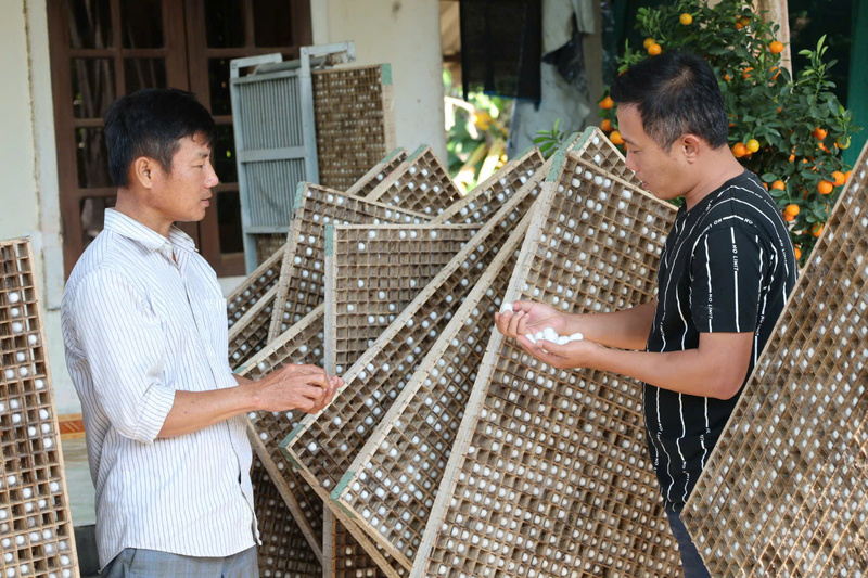 Với sự nhiệt huyết của tuổi trẻ, làng nghề dâu tằm đã tìm được hướng đi mới để tiếp tục tồn tại và phát triển mạnh mẽ. Ảnh: Nguyễn Dương