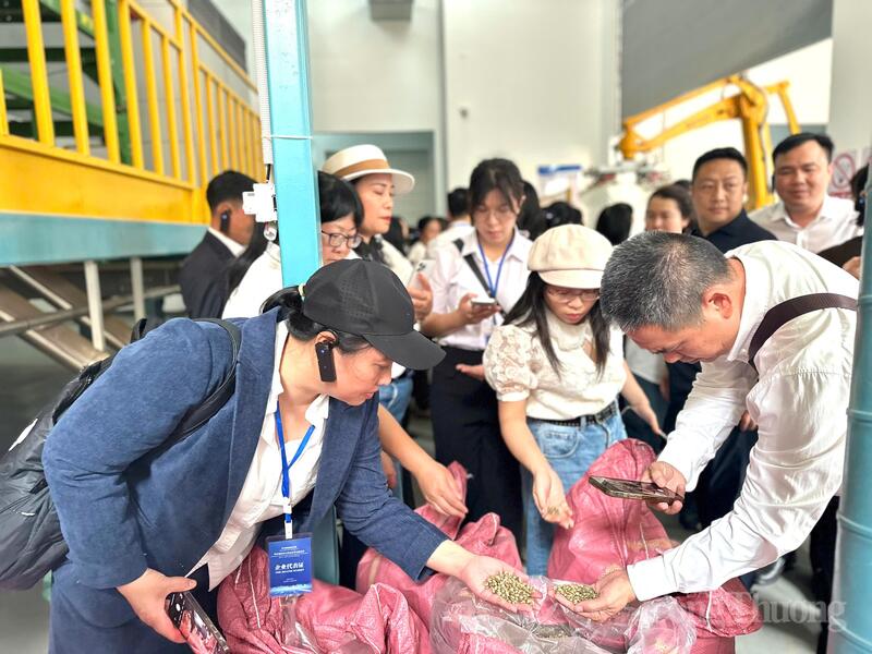 Hiện nay, khu công nghiệp có tổng cộng 3 tòa nhà công nghiệp với các khu vực như nhà máy chế biến sản phẩm trái cây cho biên giới, nhà máy chế biến cà phê,....