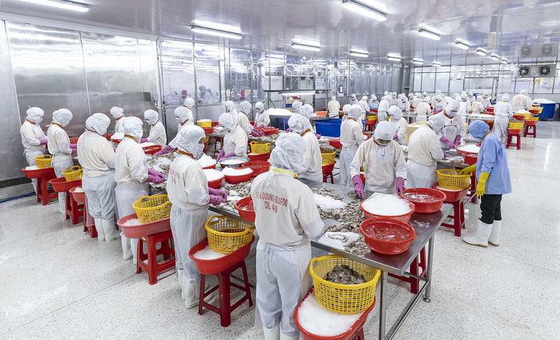 Khâu sơ chế thủy sản trong chuỗi sản xuất, phục vụ thị trường xuất khẩu.