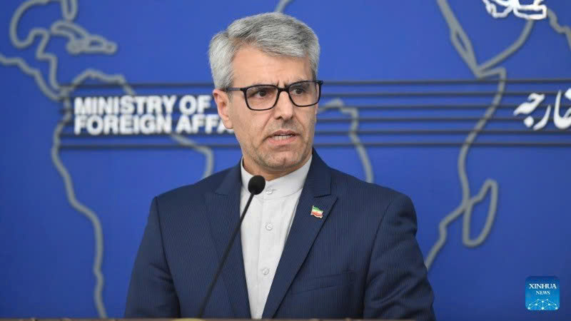 Người phát ngôn Bộ Ngoại giao Iran Esmaeil Baghaei. (Ảnh: THX)