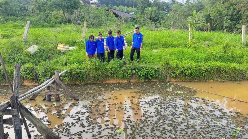 Sự kiên trì, dám nghĩ và dám ứng dụng công nghệ của tuổi trẻ Hà Tĩnh đang thực sự mở ra những hướng đi triển vọng. Ảnh: Phúc Sơn