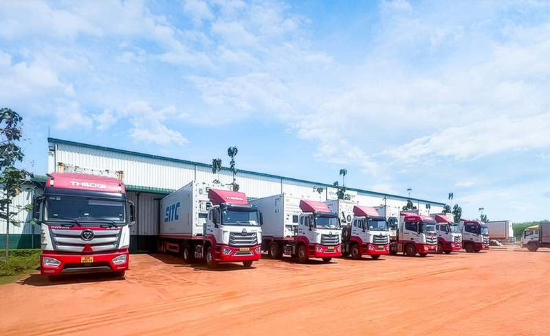 Tiếp nhận trái cây tươi tại các tổng kho ở nông trường