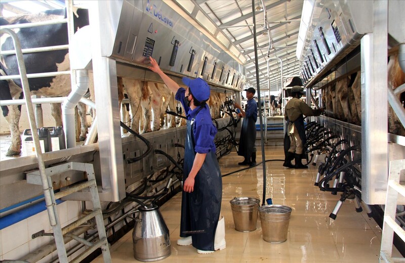 Sơn La phát triển nông nghiệp bền vững gắn với ứng dụng công nghệ cao, chuyển đổi số và công nghiệp chế biến sâu. Ảnh: TTXVN