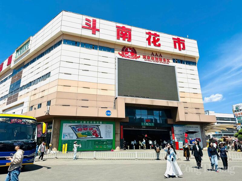 Chợ hoa Đẩu Nam tại thành phố Côn Minh, tọa lạc tại khu vực Trình Cống, bên bờ phía Đông hồ Điền Trì, được thành lập vào năm 1998 và chính thức đi vào hoạt động năm 1999. Năm 2015, chợ được chuyển đến Khu công nghiệp hoa quốc tế Đẩu Nam, với tổng diện tích 286 mẫu Trung Quốc, tổng diện tích xây dựng đạt 330.000 m².