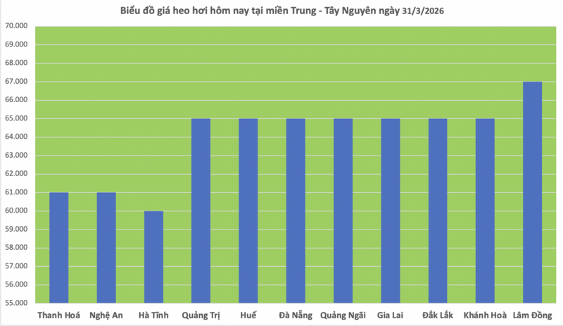Giá heo hơi hôm nay 31/3/2026: Tiếp đà giảm diện rộng - 2