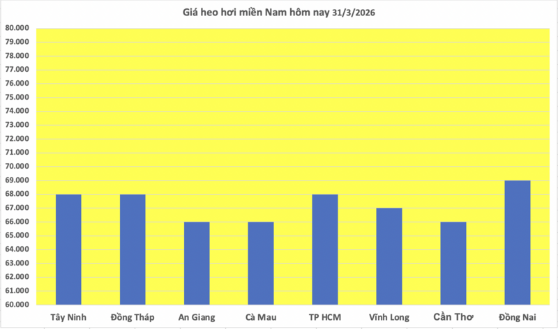 Giá heo hơi hôm nay 31/3/2026: Tiếp đà giảm diện rộng - 3