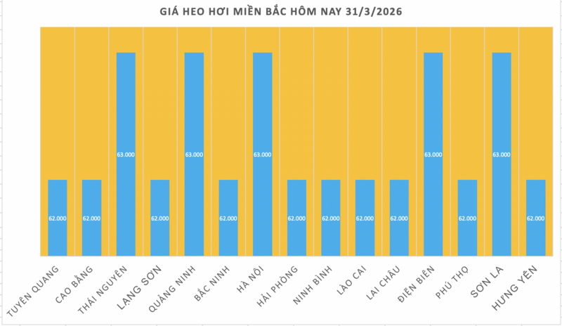 Giá heo hơi hôm nay 31/3/2026: Tiếp đà giảm diện rộng - 1