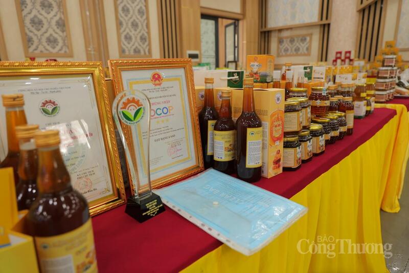 Từ đó hoàn thiện chuỗi cung ứng và mở rộng thị trường tiêu thụ.