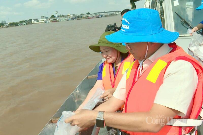 Cần Thơ thả khoảng 3 triệu con tôm giống xuống môi trường tự nhiên