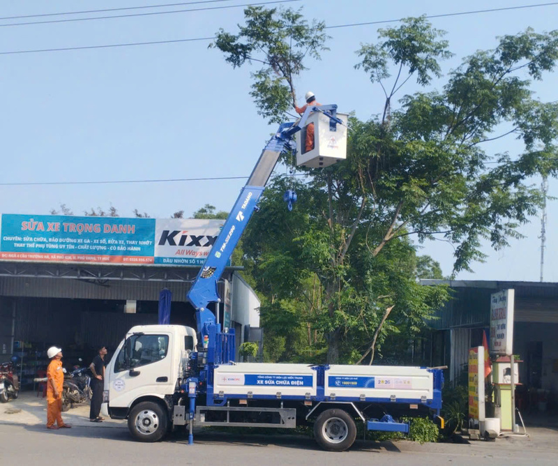 Chặt tỉa cành cây ảnh hưởng hành lang tuyến điện. Ảnh: D. Huyền