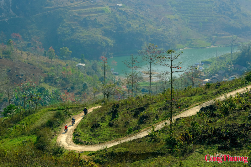 Đặc biệt, khu vực dọc theo lòng hồ thủy điện Nho Quế nơi được ví như “dải lụa xanh” giữa đại ngàn, là điểm đến lý tưởng để ngắm Hoa Mộc Miên.