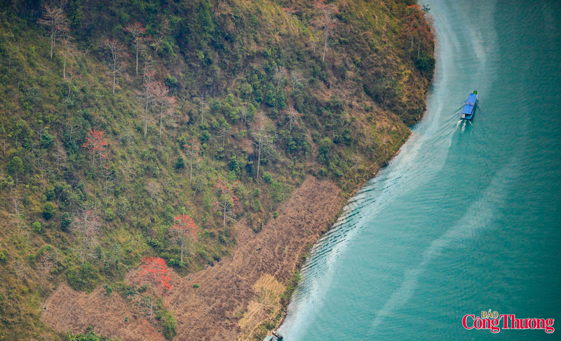 Từ trên cao nhìn xuống, sắc đỏ của hoa xen lẫn màu xanh ngọc của dòng nước, hòa quyện với màu xám của đá núi, tạo nên một bức tranh sơn thủy hữu tình hiếm có. Ngồi trên thuyền xuôi dòng Nho Quế, du khách có thể cảm nhận trọn vẹn vẻ đẹp ấy, một vẻ đẹp vừa hùng vĩ, vừa nên thơ, cho ta cảm giác khoan thai, bình yên.