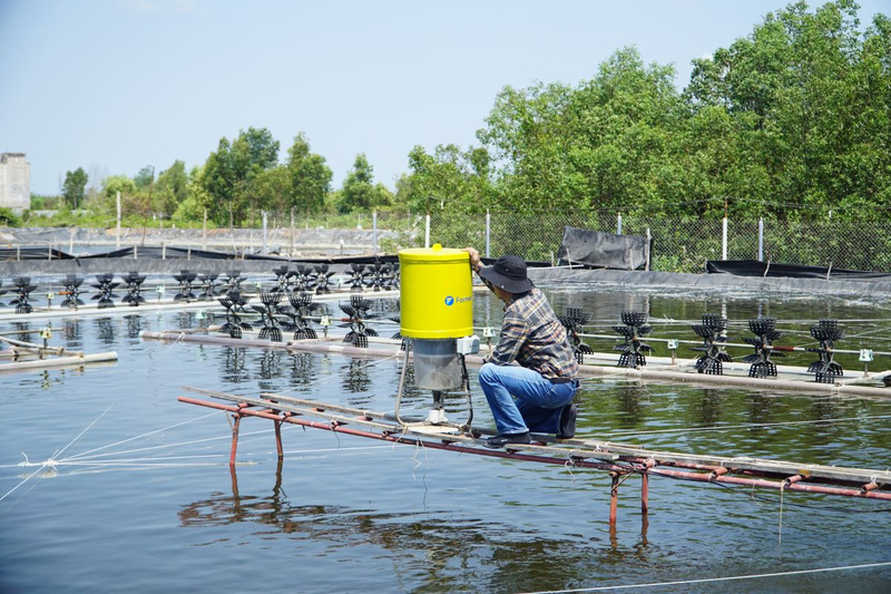Phát triển nuôi trồng thủy sản hồ chứa, kỳ vọng đạt 16.000 tỷ đồng mỗi năm. Ảnh minh họa