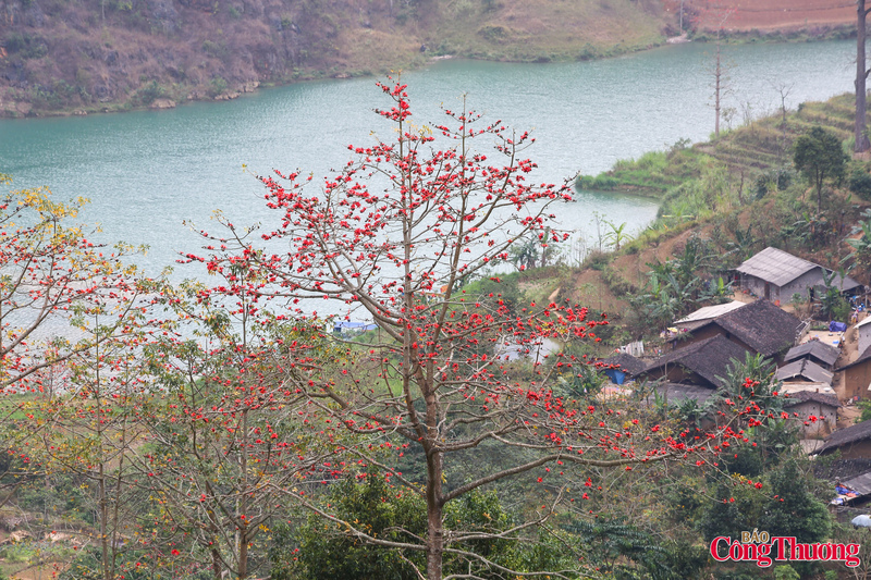 Khi hoa nở, cũng là lúc báo hiệu một mùa mới bắt đầu, mùa của hy vọng, của những khởi đầu mới tốt đẹp. Vì thế, mùa Hoa Mộc Miên không chỉ là mùa của du lịch mà còn mang ý nghĩa tinh thần sâu sắc đối với người dân địa phương.