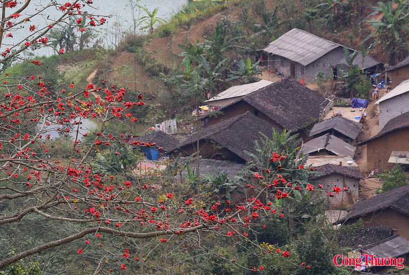 Không chỉ là vẻ đẹp cảnh quan,Hoa Mộc Miên còn gắn liền với đời sống văn hóa của đồng bào các dân tộc nơi đây. Với người Mông, người Dao, loài hoa này là biểu tượng của sức sống mãnh liệt, của sự bền bỉ vươn lên giữa điều kiện tự nhiên khắc nghiệt.