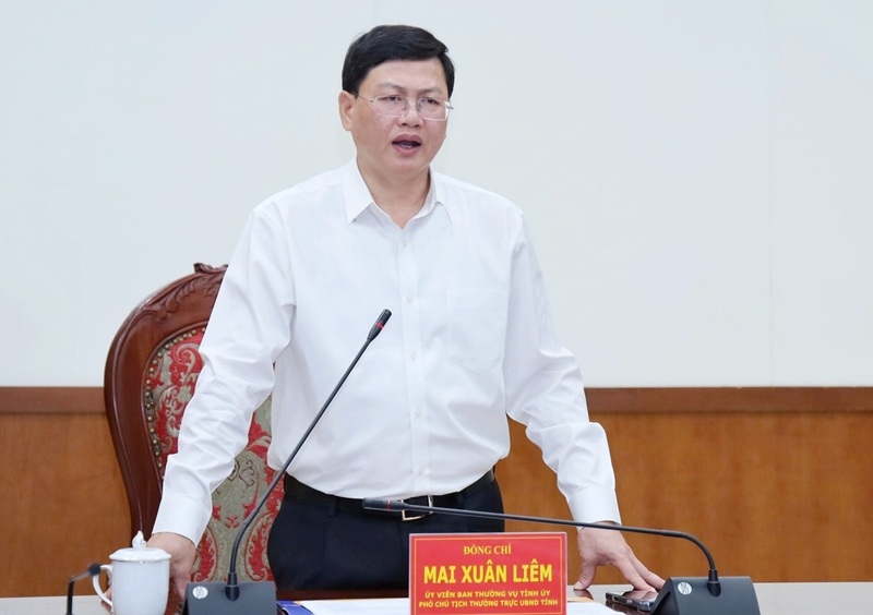 Ông Mai Xuân Liêm, Phó Chủ tịch Thường trực UBND tỉnh Thanh Hóa phát biểu chỉ đạo tại buổi làm việc. Ảnh: Hùng Mạnh