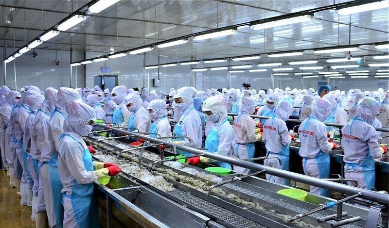 Nhóm hàng thủy sản chiếm tỷ trọng lớn trong kim ngạch xuất khẩu của Cà Mau. Ảnh: Bích Ngọc