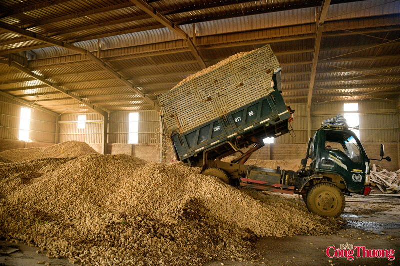 Nhằm tận dụng nguồn phế phẩm nông nghiệp bỏ đi, đồng thời khắc phục tình trạng ô nhiễm môi trường, thay vì các loại than tổ ong, than củi thông thường, nhiều đơn vị đã nghiên cứu, sản xuất than bánh và thanh nhiên liệu từ lõi ngô cho nhiệt năng cao.