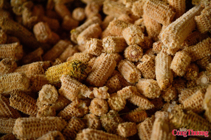 Theo số liệu thống kê, hiện cả nước có khoảng 800.000 ha ngô. Quá trình chế biến nông sản đã thải ra môi trường khoảng 1 triệu tấn lõi ngô mỗi năm.