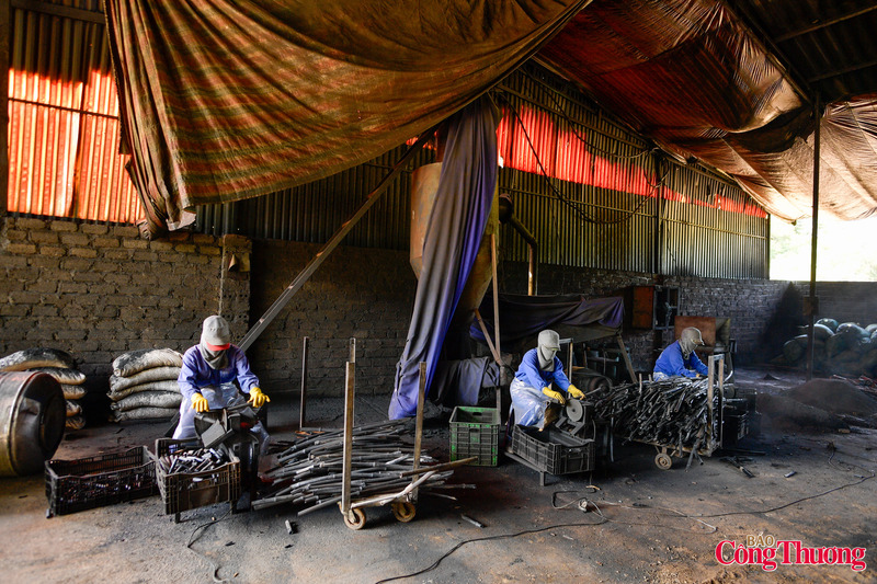 Hiện nay, than từ lõi ngô đã được xuất khẩu sang thị trường Hàn Quốc, Nhật Bản, ngoài ra sản phẩm thanh ép nhiên liệu đốt và than sinh học còn có các khách hàng tiềm năng là những cơ sở sản xuất, chế biến nông, lâm sản có sử dụng hệ thống nhiệt, lò hơi hoạt động dân sinh...