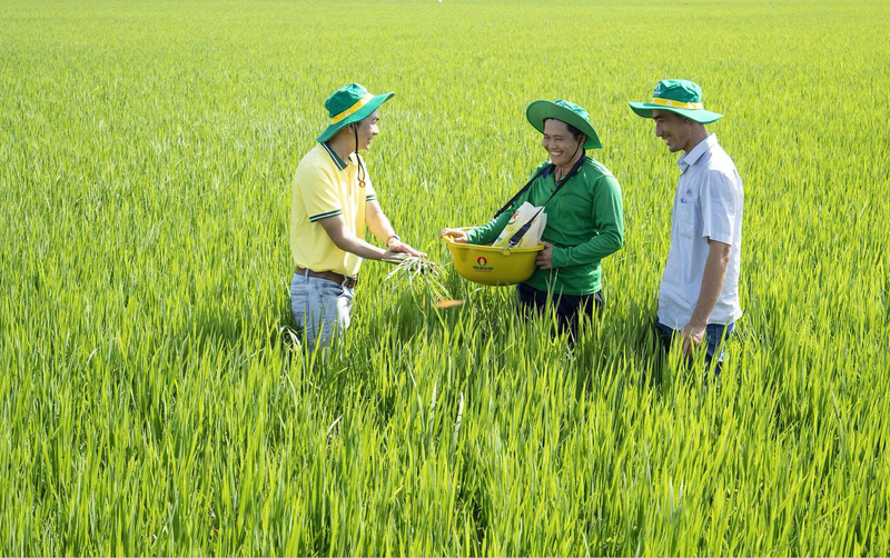 PVCFC hướng đến bộ giải pháp toàn diện cho cây trồng. Ảnh PVCFC