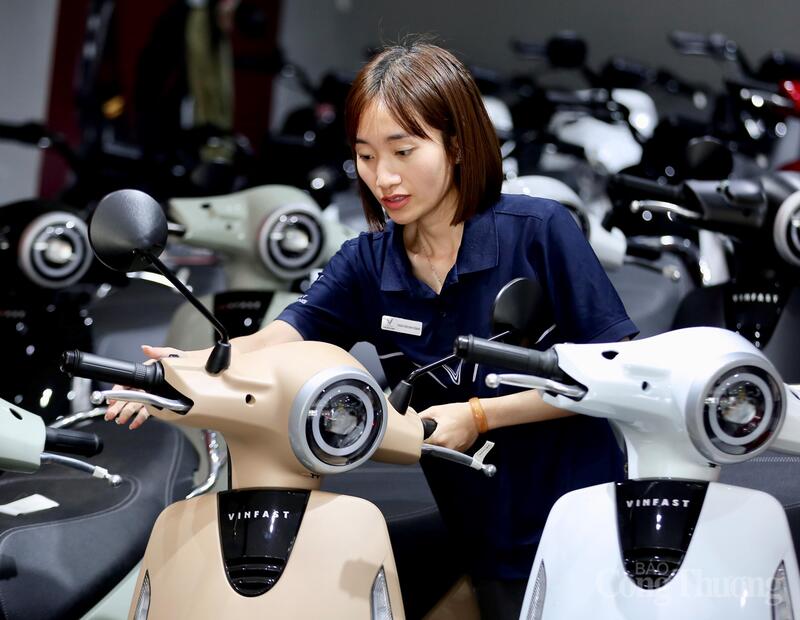 Chị Lê Thuỳ Trang cho biết, phía đại lý đã lên kế hoạch nhập hàng với số lượng lớn để đáp ứng nhu cầu khách hàng. Ảnh: Ngô Nhung