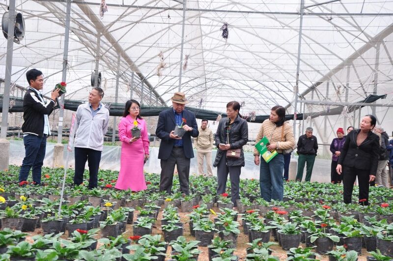 Nhờ ứng dụng công nghệ cao, sản xuất nông nghiệp và công nghiệp nông thôn đã mang lại nhiều kết quả tích cực. Ảnh: Nam An