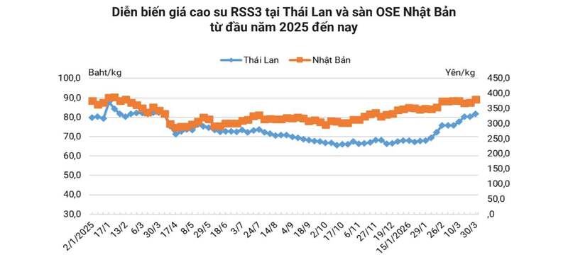 Giá biến động mạnh, xuất khẩu cao su kỳ vọng 'vượt gió ngược' - 1